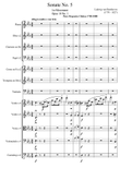 Sonate Nº5 1 º Mov. (Orchestration)
