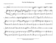 The Irish Wedding Song