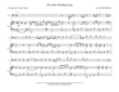 The Irish Wedding Song