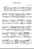 Etude 12931