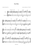 Fur Elise - Flute & Clarinet