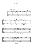 Fur Elise - Flute & Clarinet