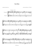 Fur Elise - Trumpet & Horn