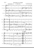 Sonate KV 331 for Brass quintet
