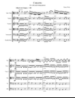 Viola Concerto
