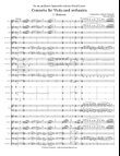 Concerto for Viola and orchestra