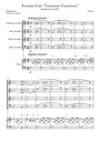 Excerpt from sonate k331 - "Tema con Variazione" mini preview