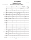 Nessun Dorma (Solo for Euphonium or Tuba with Band)