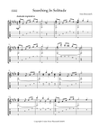 Searching In Solitude - guitar solo (guitar with tab & standard notation only)
