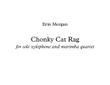 Chonky Cat Rag