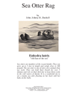 Sea Otter Rag