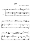 Bach - Arioso BWV 156 for Violoncello and Piano