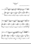 Bach - Arioso BWV 156 for Bassoon and Piano