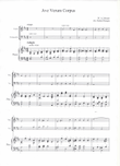 Ave Verum - Violin, Cello & Piano