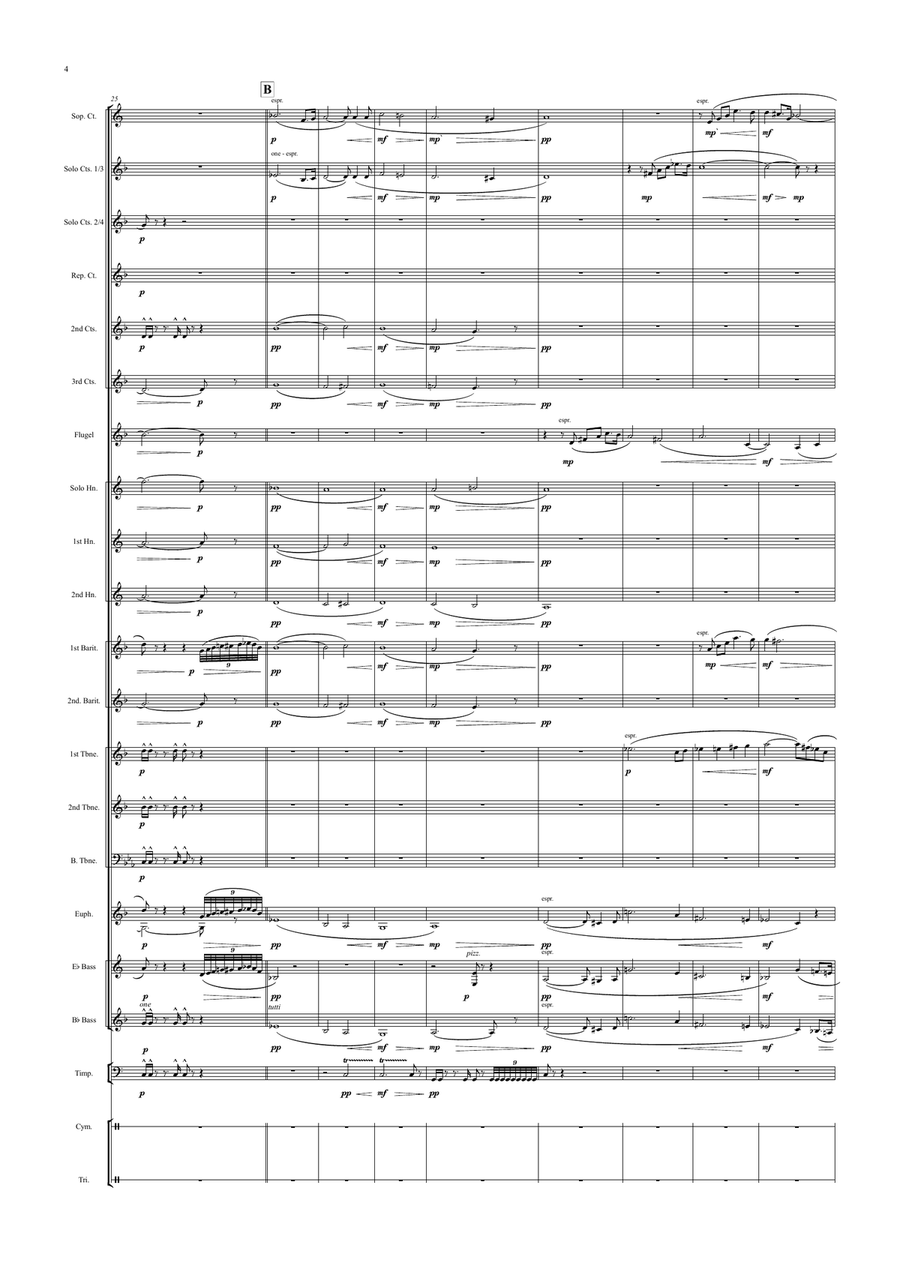 Siegfried's Funeral Music (Götterdämmerung) Siegfried's Funeral Music (Götterdämmerung) Brass Band scores gallery preview page 4