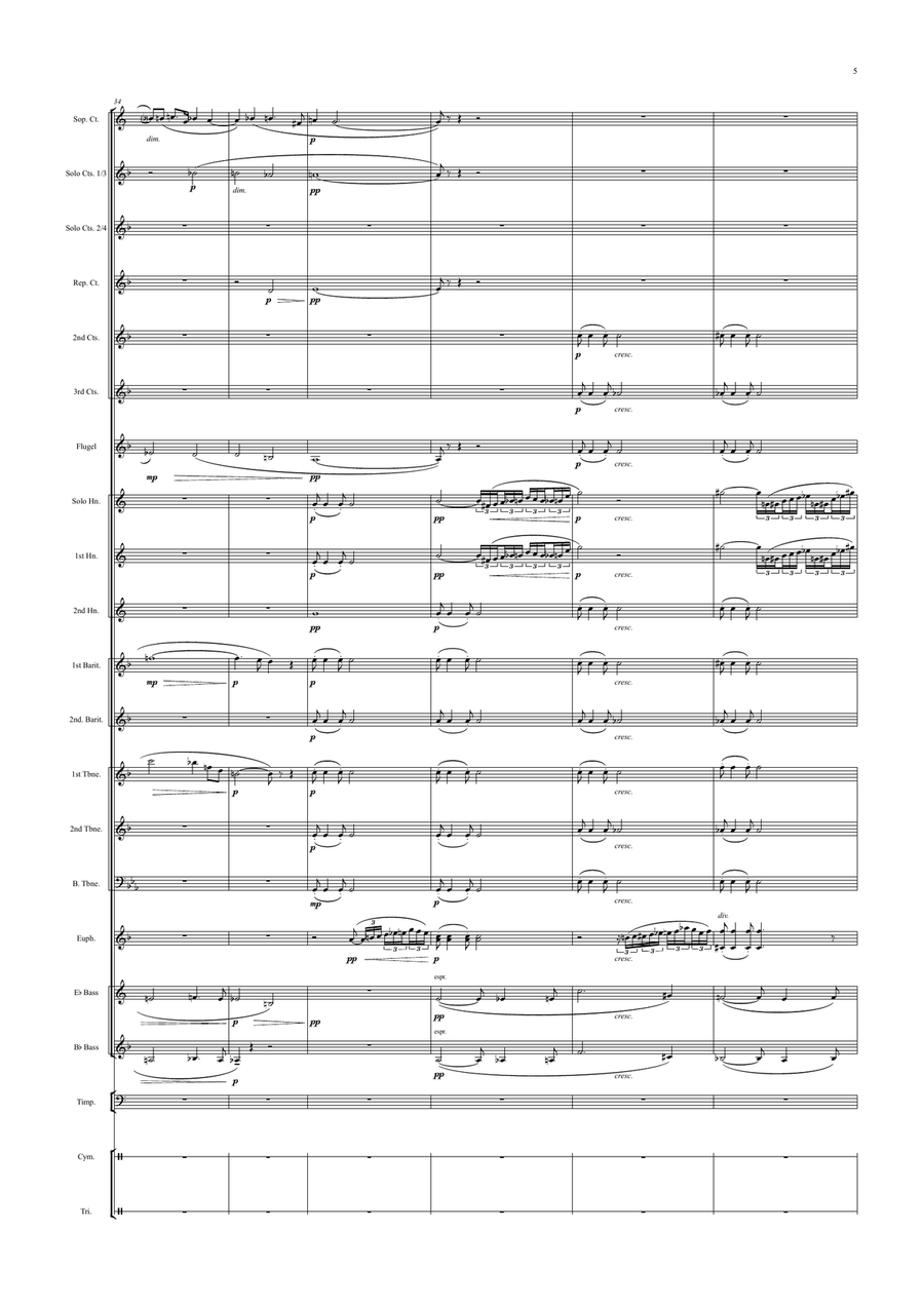 Siegfried's Funeral Music (Götterdämmerung) Siegfried's Funeral Music (Götterdämmerung) Brass Band scores gallery preview page 5