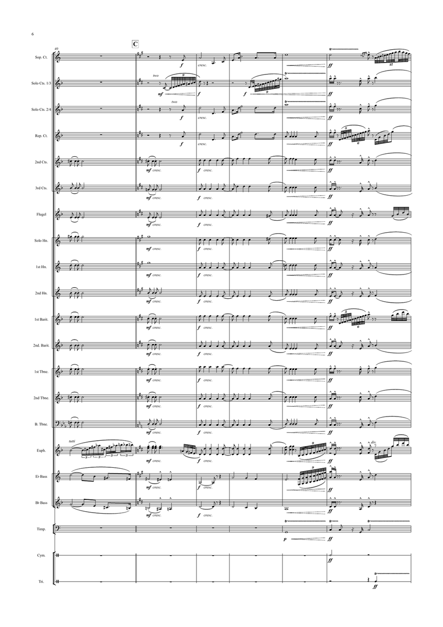 Siegfried's Funeral Music (Götterdämmerung) Siegfried's Funeral Music (Götterdämmerung) Brass Band scores gallery preview page 6