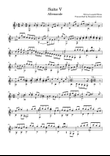 Suite V