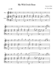 My Wild Irish Rose (Flute and Piano)