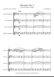Elevation No. 3
