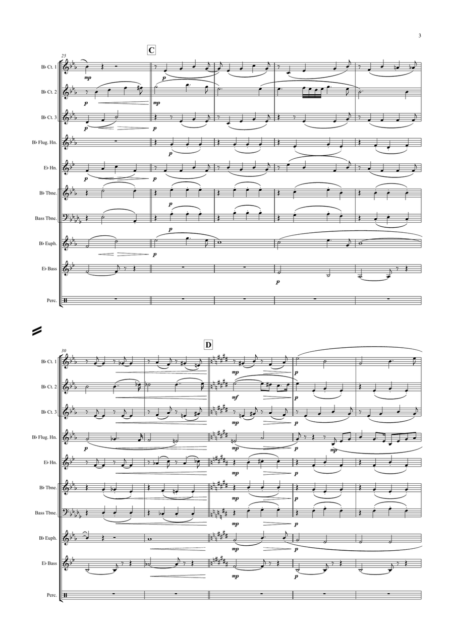 Elsa's Procession To The Minster (Lohengrin) Brass Ensemble scores gallery preview page 3