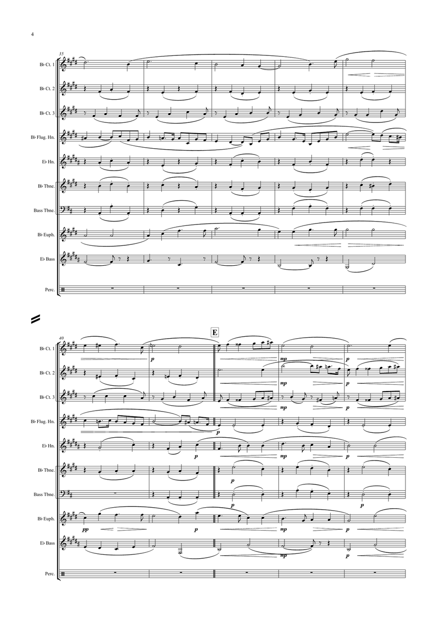 Elsa's Procession To The Minster (Lohengrin) Brass Ensemble scores gallery preview page 4