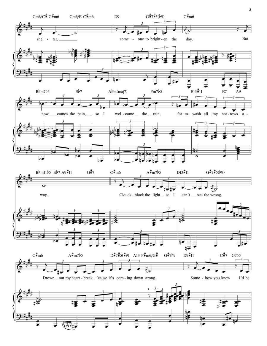 Ride Out The Storm (from Some Like It Hot) Piano, Vocal, Guitar scores gallery preview page 3