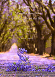 Jacaranda. Original Tango for Flute Choir