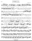 Arpeggi-oh no! for Quintet (Woodwind quintet)