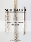 Allegretto - Flute Sonata Op. 105 in a minor
