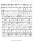 Heart On My Sleeve - Violin