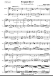 Swanee River for Violin and Viola