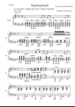 Rachmaninoff etude op 39 no 5 (jazz piano arrangement)