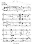 Calon Lân (A Clean Heart)