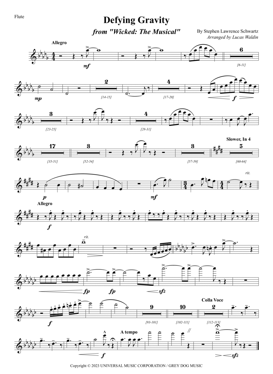 Defying Gravity Full Orchestra scores gallery preview page 1