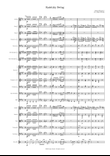 Radetzky Swing