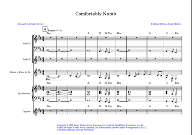 Comfortably Numb