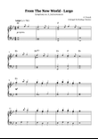 Largo (2nd movement of the Symphony no. 9 'From The New World')
