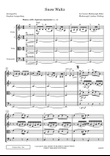 Snow Waltz