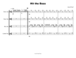 Hit the Bass (Drumline Cadence)