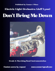 Don't Bring Me Down