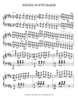 SONATA IN B*ST MAJOR mini preview