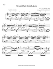 Flower Duet from Lakme arranged for lever harp (only one lever change down and up)