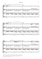 Slow Burn String Quartet scores gallery preview page 6