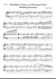 Pachelbel's Canon x A Thousand Years Wedding Entrance