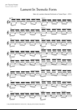 Lament In Tremolo Form