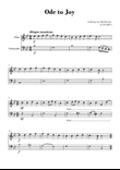 Beethoven - Ode to Joy (for Flute and Cello)