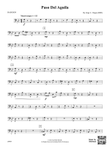 Paso Del Aguila: Bassoon