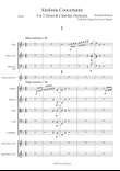 Sinfonia Concertante for 2 Horns & Chamber Orchestra