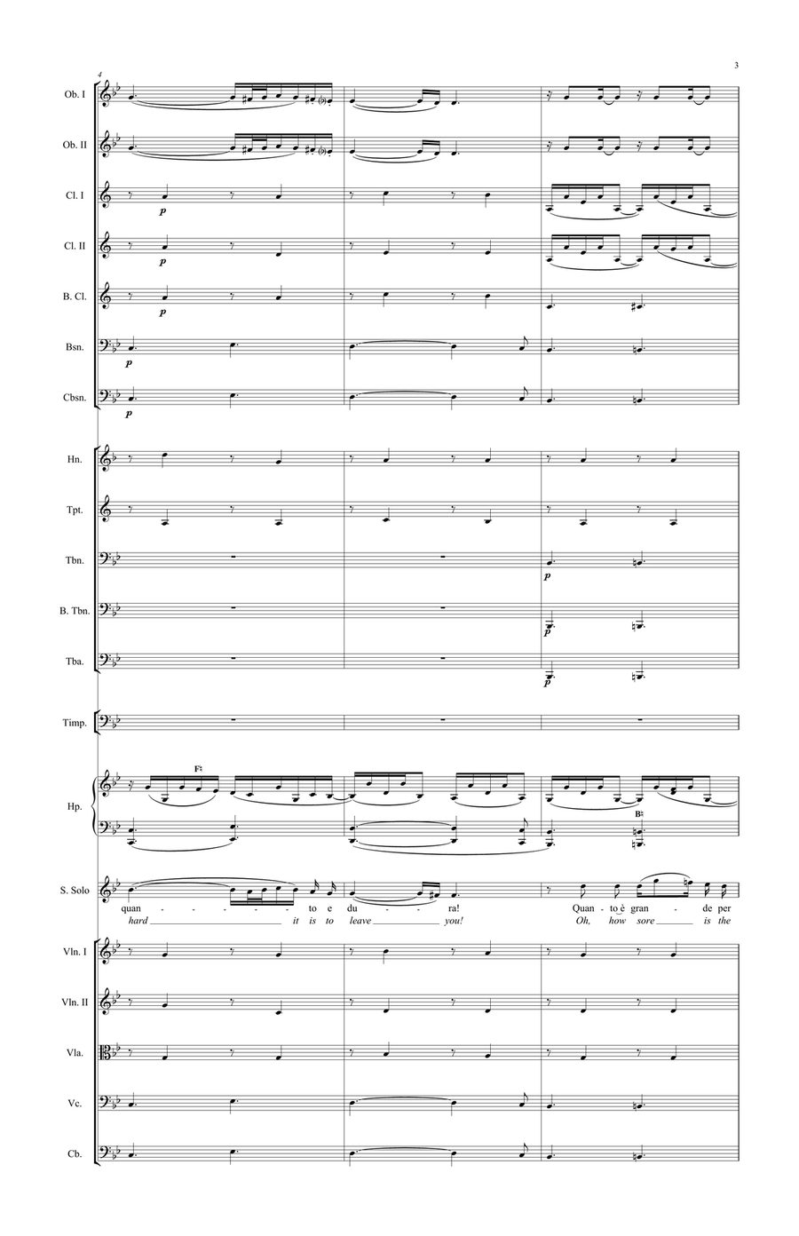 Separazione (Parting) - Version for Voice and Orchestra Chamber Orchestra scores gallery preview page 2